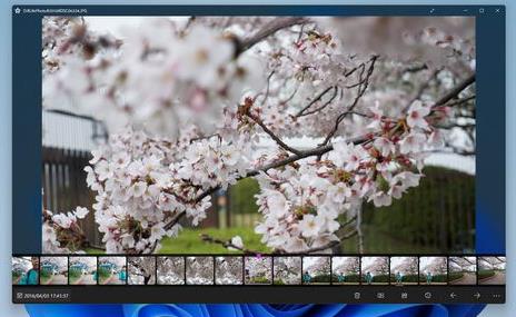 Sakura Photo Viewerĺ
